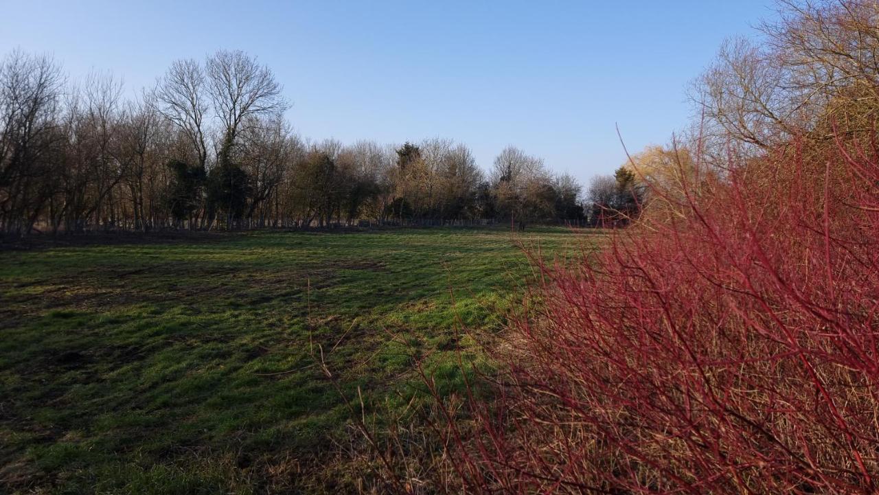 West Farm Cottage Godmanchester Luaran gambar