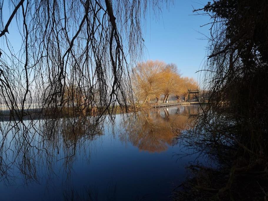 West Farm Cottage Godmanchester Luaran gambar